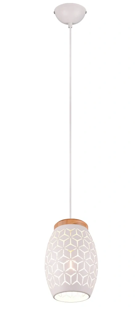 Trio Leuchten R31571031 BIDAR - Závěsné svítidlo v bílé barvě, 1 x E27