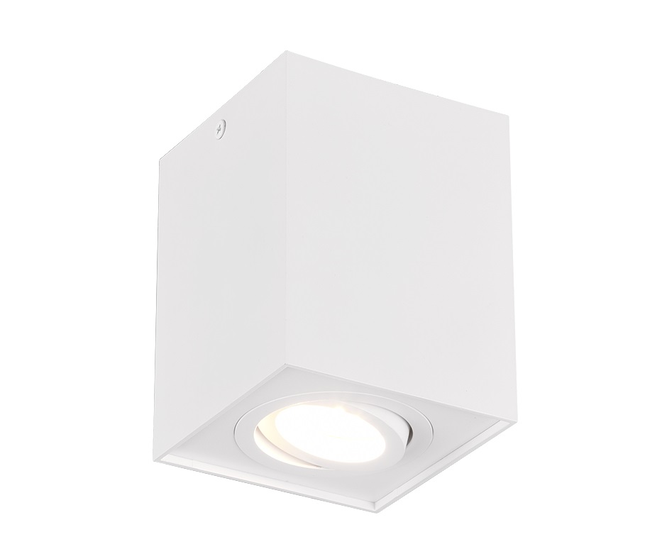 Trio Leuchten 613000131 BISCUIT - Stropní svítidlo v bílé barvě 1 x GU10