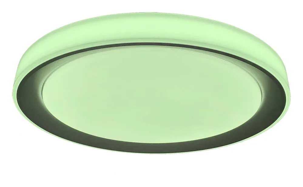 Rabalux 3510 EVEREST - LED RGB svítidlo stmívatelné s dálkovým ovladačem, LED 40W, 2700K - 6500K, Ø 51cm