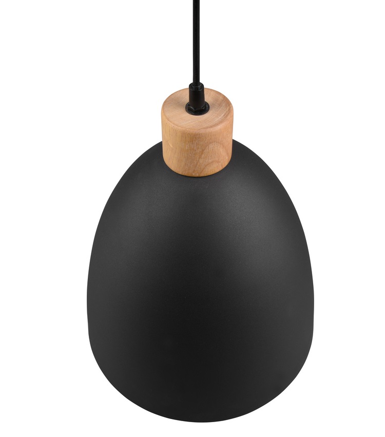 Trio Leuchten R30681032 JAGGER - Závěsný kovový lustr v černé barvě, 1 x E27, Ø 25cm