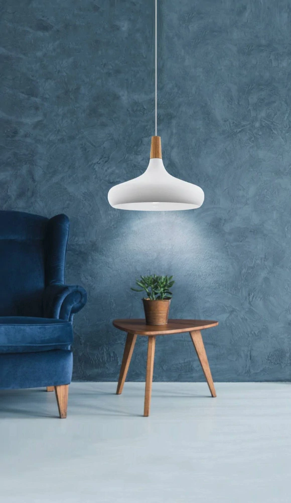 Eglo 901179 SABINAR - Moderní závěsné svítidlo v bílé barvě se dřevem, 1 x E27, Ø 40cm