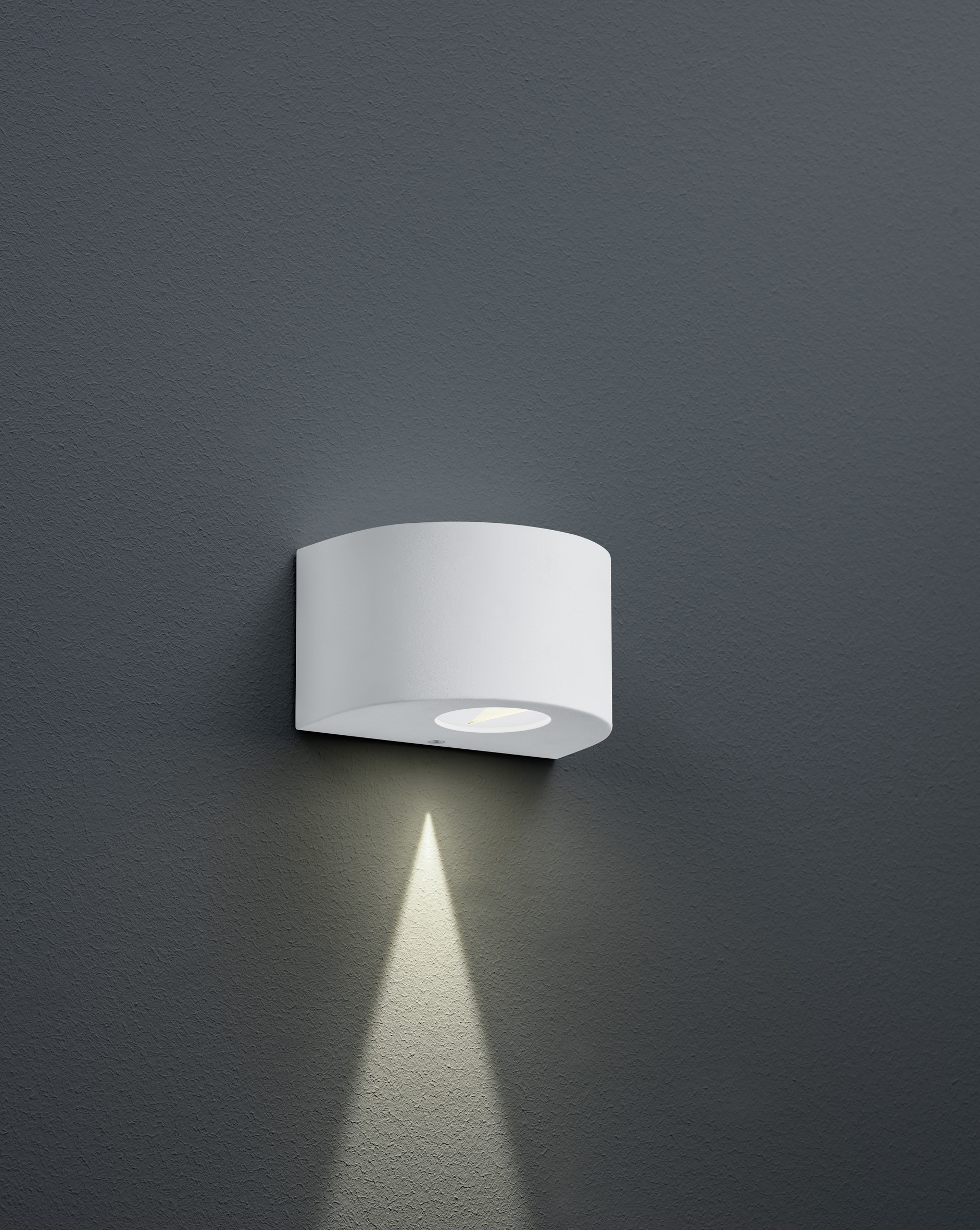 Trio Leuchten R28232631 ROSARIO - Venkovní nástěnné LED svítidlo s variabilním svícením IP44