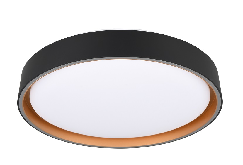 Trio Leuchten R64391080 FELIS - LED stropní svítidlo s dálkovým ovládáním, LED 24W, 2700 - 6500K, Ø 40cm