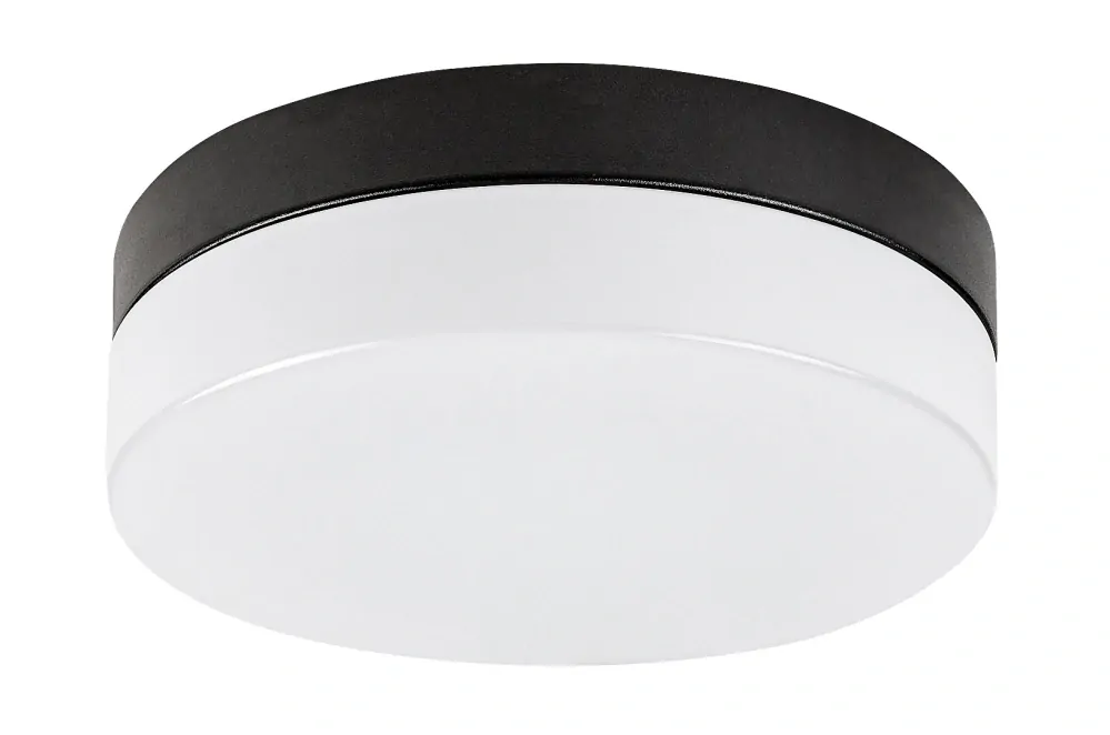 Rabalux 75025 GAELO - Stropní koupelnové svítidlo v černé barvě, LED 15W, 1150lm, 4000K, Ø 23,5cm