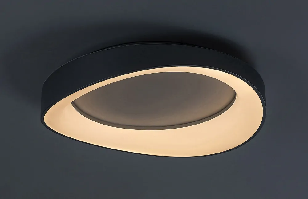 Rabalux 71054 ILIANA - LED moderní svítidlo ve stříbrné barvě, Ø 52cm, 56W, 3000K