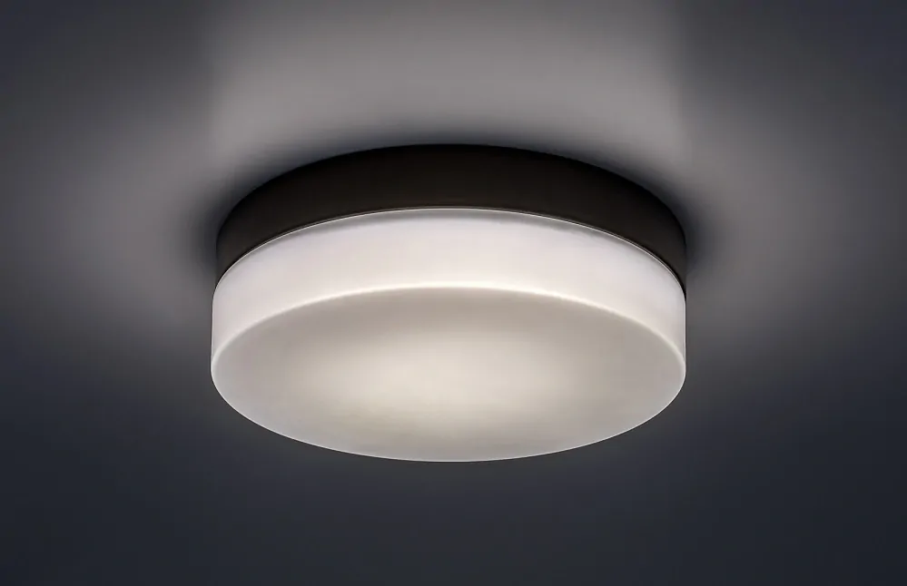 Rabalux 75025 GAELO - Stropní koupelnové svítidlo v černé barvě, LED 15W, 1150lm, 4000K, Ø 23,5cm