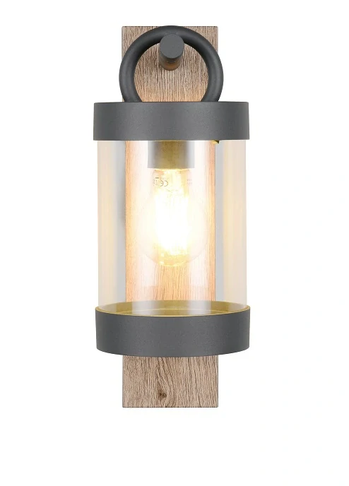 Trio Leuchten 204160135 SAMBESI - Nástěnné venkovní svítidlo s možností aktivace automatického senzoru DEN / NOC, IP44, 1 x E27