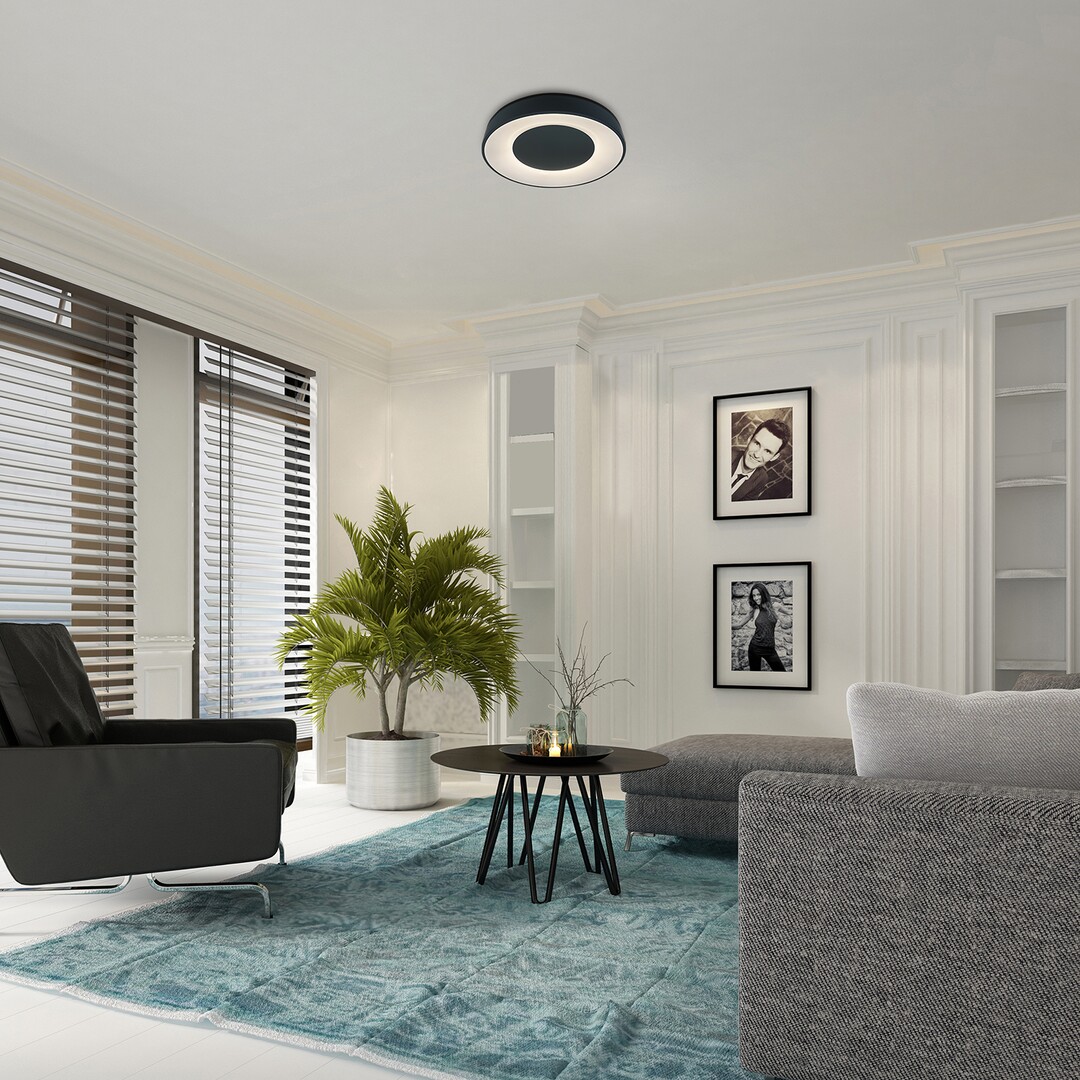 Rabalux 3082 CEILO - LED stropní svítidlo v černé barvě, stmívatelné ovladačem, 38W, 3000 - 6500K, Ø 48cm