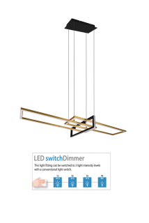 Trio Leuchten 320310308 SALINAS- Závěsné LED svítidlo krokově stmívatelné nástěnným vypínačem, LED 34W, 3000K, 110cm, mosaz + černá
