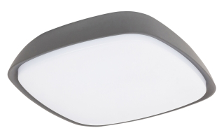 Rabalux 8797 AUSTIN - LED venkovní stropní svítidlo ve antracitové barvě, LED 20W, 4000K, IP65