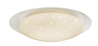 Trio Leuchten R62064800 FRODO - LED stropní svítidlo s dálkovým ovládáním, LED 18W, 2700 - 5500K, Ø 48cm
