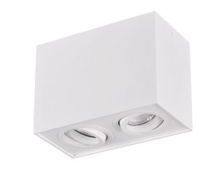 Trio Leuchten 613000231 BISCUIT - Stropní svítidlo v bílé barvě 2 x GU10