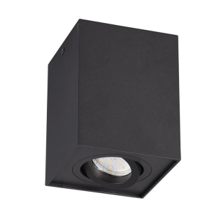 Trio Leuchten 613000132 BISCUIT - Stropní svítidlo v černé barvě 1 x GU10