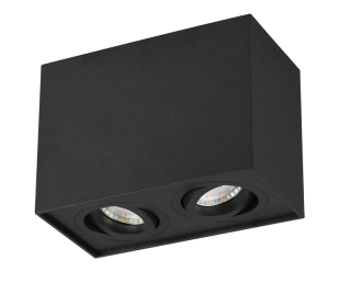 Trio Leuchten 613000232 BISCUIT - Stropní svítidlo v černé barvě 2 x GU10