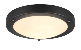 Trio Leuchten 6801011-32 CONDUS - Stropní koupelnové svítidlo v černé barvě 1 x E27, Ø 31cm, IP44
