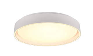 Trio Leuchten R64391031 FELIS - LED stropní bílé svítidlo s dálkovým ovládáním, LED 24W, 2700 - 6500K, Ø 40cm 