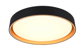 Trio Leuchten R64391080 FELIS - LED stropní svítidlo s dálkovým ovládáním, LED 24W, 2700 - 6500K, Ø 40cm 