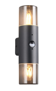 Trio Leuchten 222260232 HOOSIC  - Nástěnné venkovní svítidlo se senzorem 2 x E27, IP44