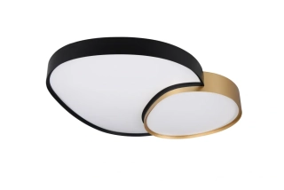 Trio Leuchten 647519280 RISE - LED stmívatelné stropní svítidlo v černé a zlaté barvě, dálkový ovladač, LED 45W, 2700-6500K, 77 x 63cm