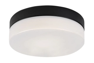 Rabalux 75026 GAELO - Stropní koupelnové svítidlo v černé barvě, LED 18W, 1370lm, 4000K, Ø 28cm 