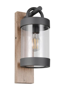 Trio Leuchten 204160135 SAMBESI - Nástěnné venkovní svítidlo s možností aktivace automatického senzoru DEN / NOC, IP44, 1 x E27