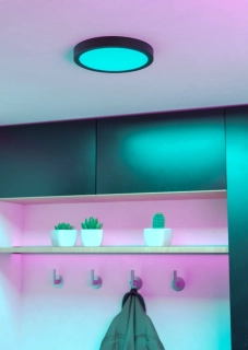 Eglo ZIGBEE 901372 FUEVA 6-Z - Stropní LED kulaté RGB svítidlo ovládané ovladačem, nebo z mobilní aplikace, LED 11,2W, Ø 21cm, IP44