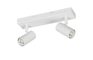 Trio Leuchten R86852031 TARYN - Nástěnné nebo stropní bodové svítidlo v bílé barvě, 2x GU10 MINI