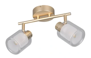 Trio Leuchten R88162079 NERALO - Nástěnná nebo stropní lampa ve zlaté barvě, 2 x E14